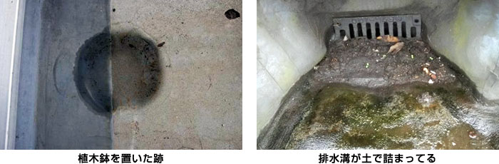 植木鉢を置いた跡|排水溝が土で詰まってる